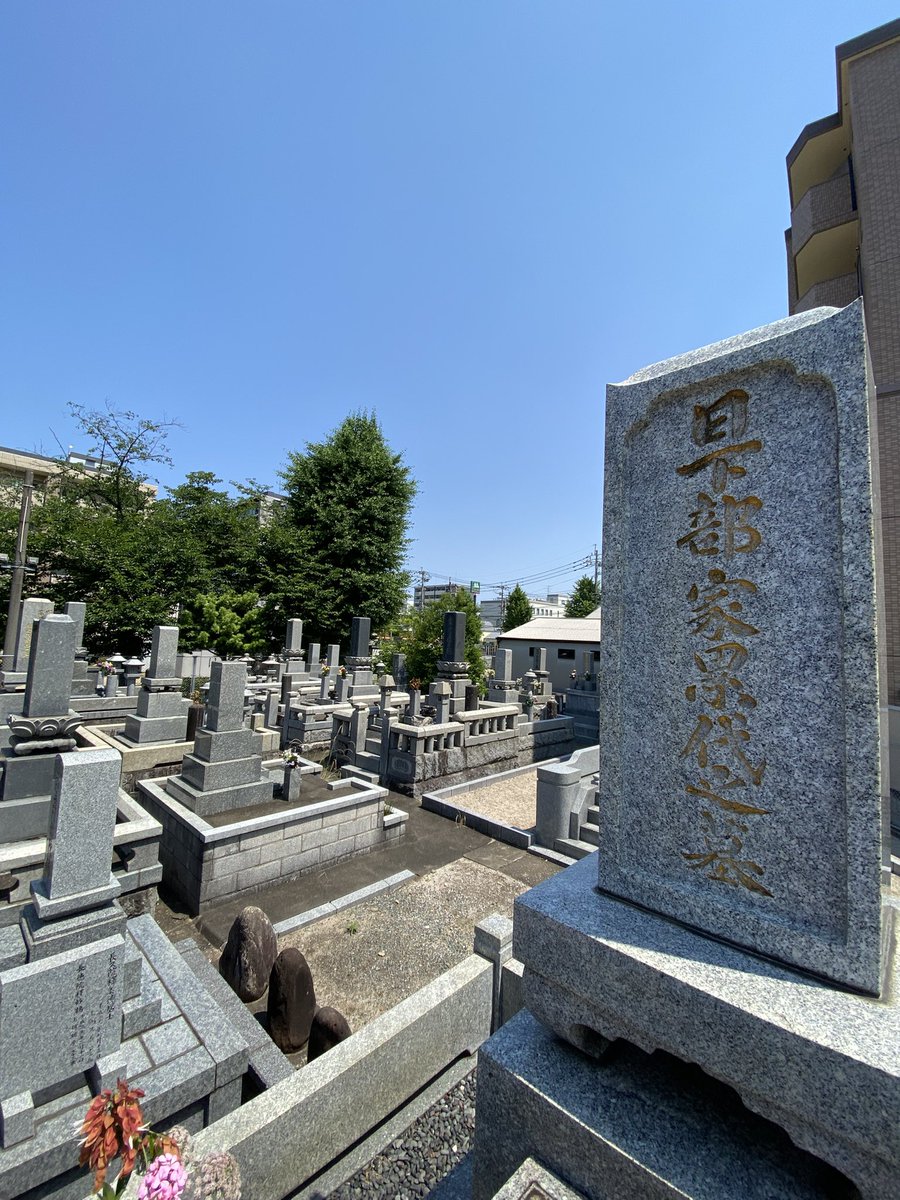 asianshota tweet media