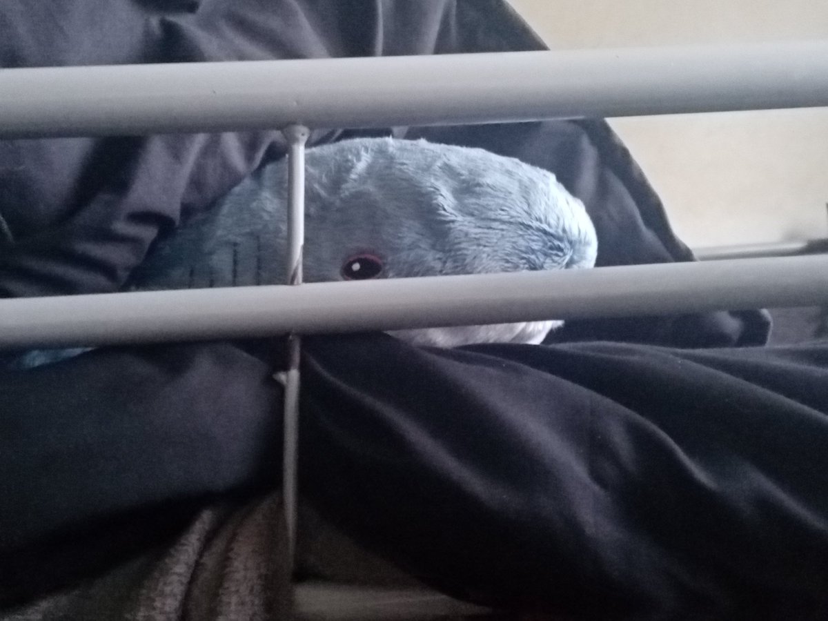 VulkinDemonu's tweet photo. They watch from the bed of darkness, ever calling, saying "You wanna sleep"

And damn, they right, I do wanna sleep https://t.co/WDpFGDZ4U6