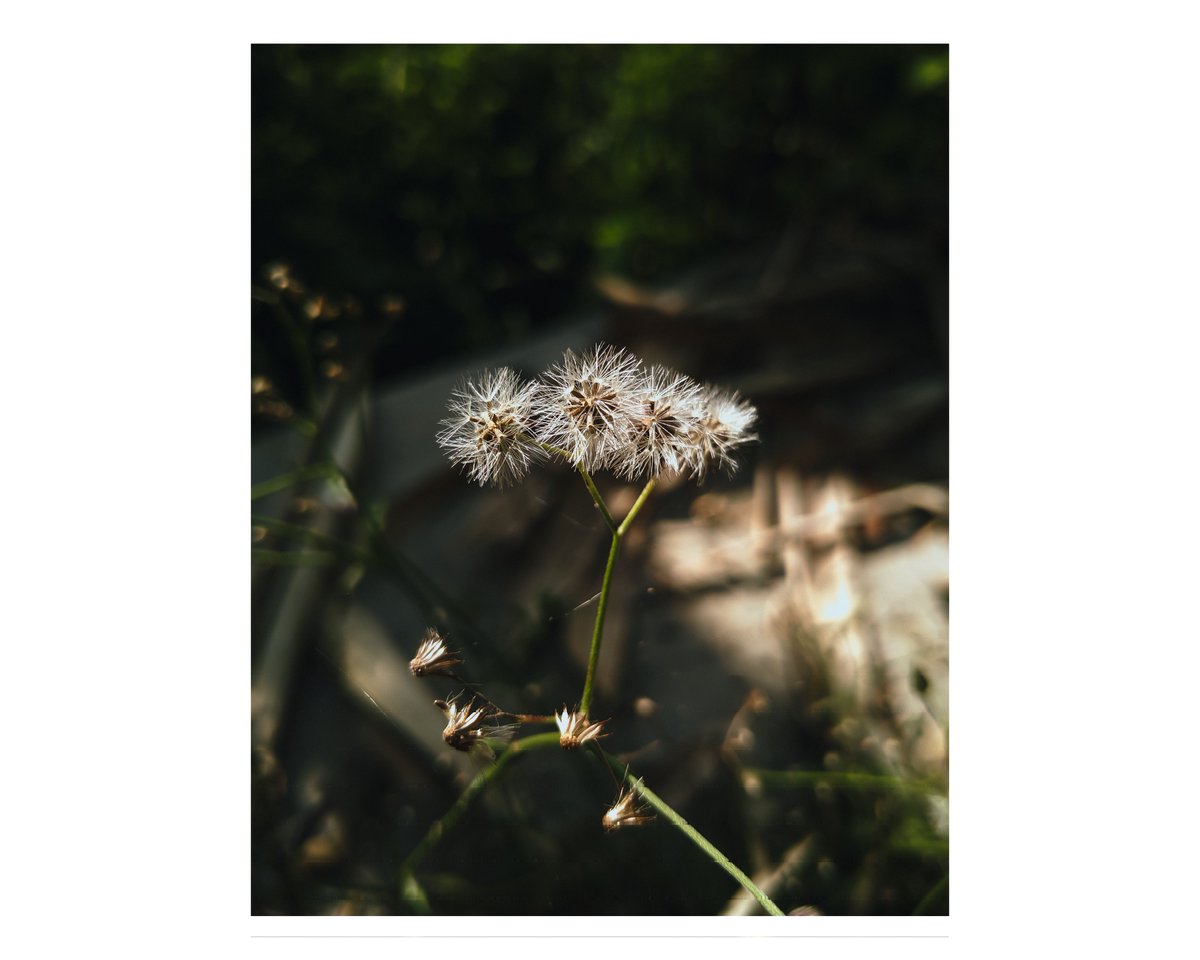 elenielframes's tweet photo. https://t.co/C8Axvz75t6