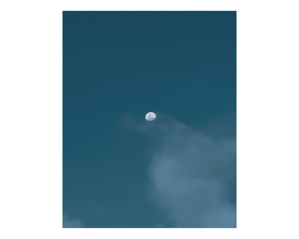 elenielframes's tweet photo. https://t.co/C8Axvz75t6