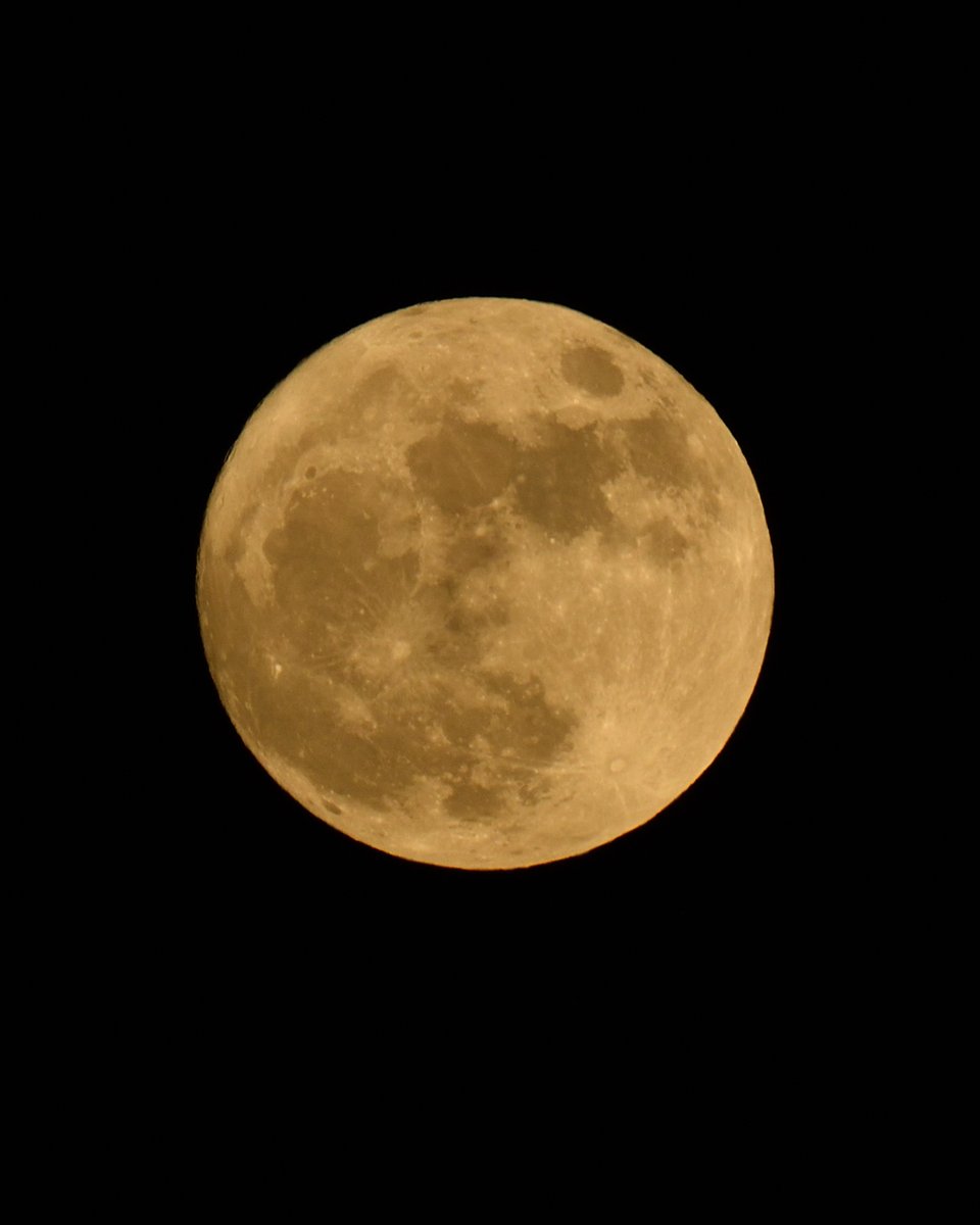July_04th_1776's tweet photo. The blue moon yesterday tonight taken at moonrise.

#blue_moon https://t.co/FUppEfBwLU
