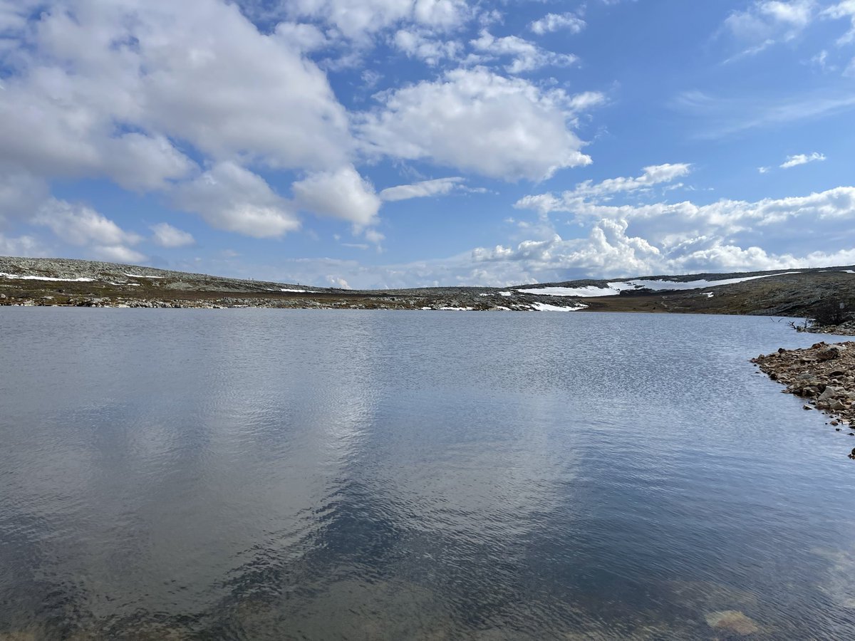 im_Rojo's tweet photo. Vemdalen ⛰️ https://t.co/65jgwjr58d