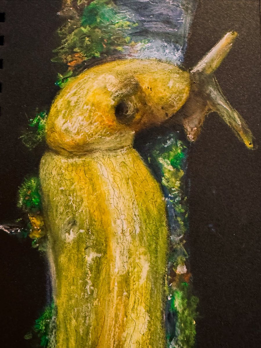 Dustox5's tweet photo. 🐌 
#silkycrayons #slug #drawing #artwork https://t.co/PGXavdE30k