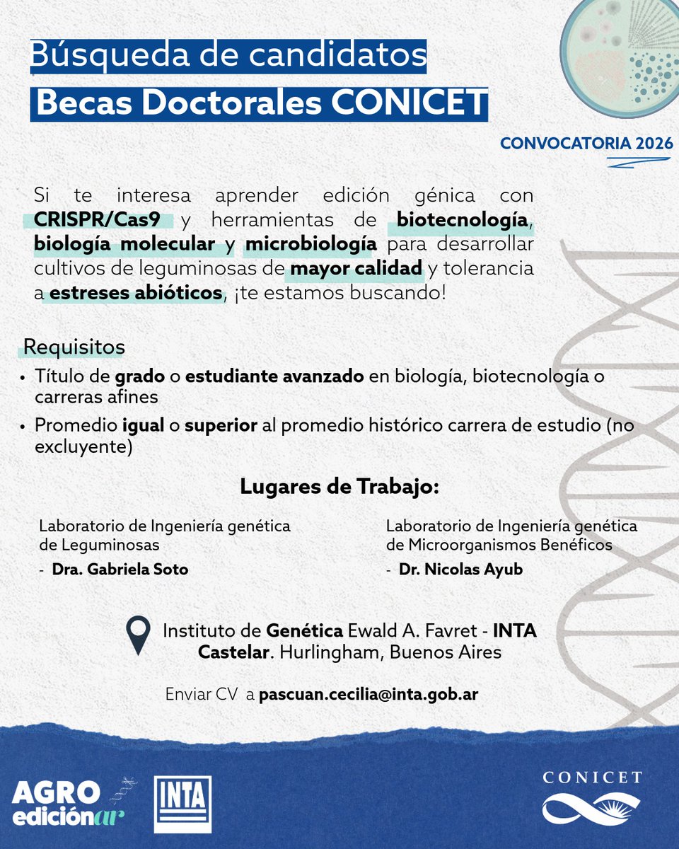 CPascuan's tweet photo. Estamos buscando estudiantes que quieran sumarse a nuestros grupos de investigación 🫶🏼
Tema: Edición génica de Leguminosas y Rizobios para caracteres de interés agronómico 🌱🧫 

Lugar de trabajo:IGEAF GV  @iabimo @intaargentina ,  @AgroedicionAR 💙 https://t.co/QdAI6XuK1n
