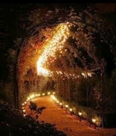 jerry_tuxedo's tweet photo. Captain Jerry: We will now light 🕯️a path to the Rainbow 🌈Bridge for dear Pandora @BengalPandora OVR
#TeamBengal #ZSBengalBrigade https://t.co/4cES3a179g