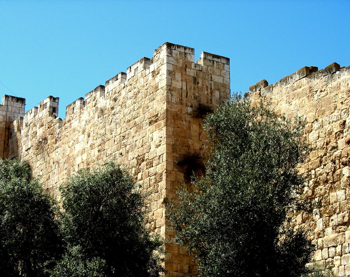 LdeManielle's tweet photo. The Psalmist Said:
"May the Lord bless you from Zion; may you see the prosperity of Jerusalem all the days of your life."
(Psalms 128: 5 NIV)

https://t.co/69GVLzeKPP https://t.co/j4bYiJiUqd