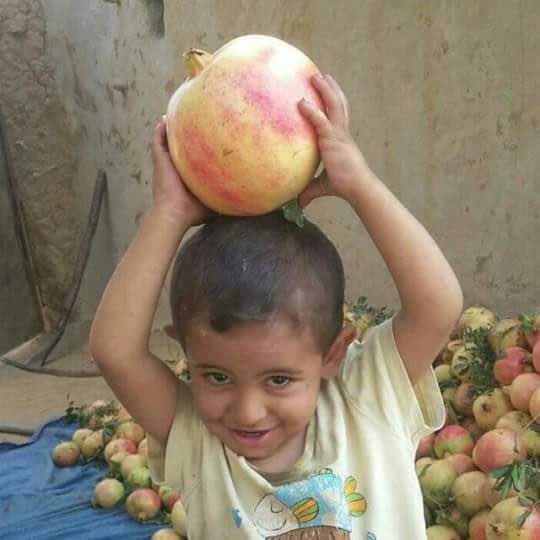 Aseel Swaid tweet media