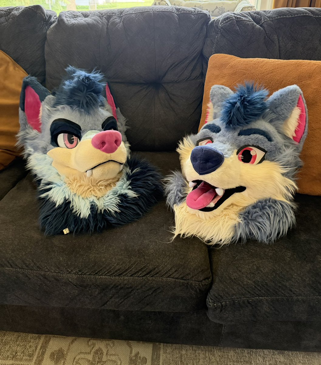 astrothewolf's tweet photo. I think they should kiss https://t.co/ZUQ68QmTJq