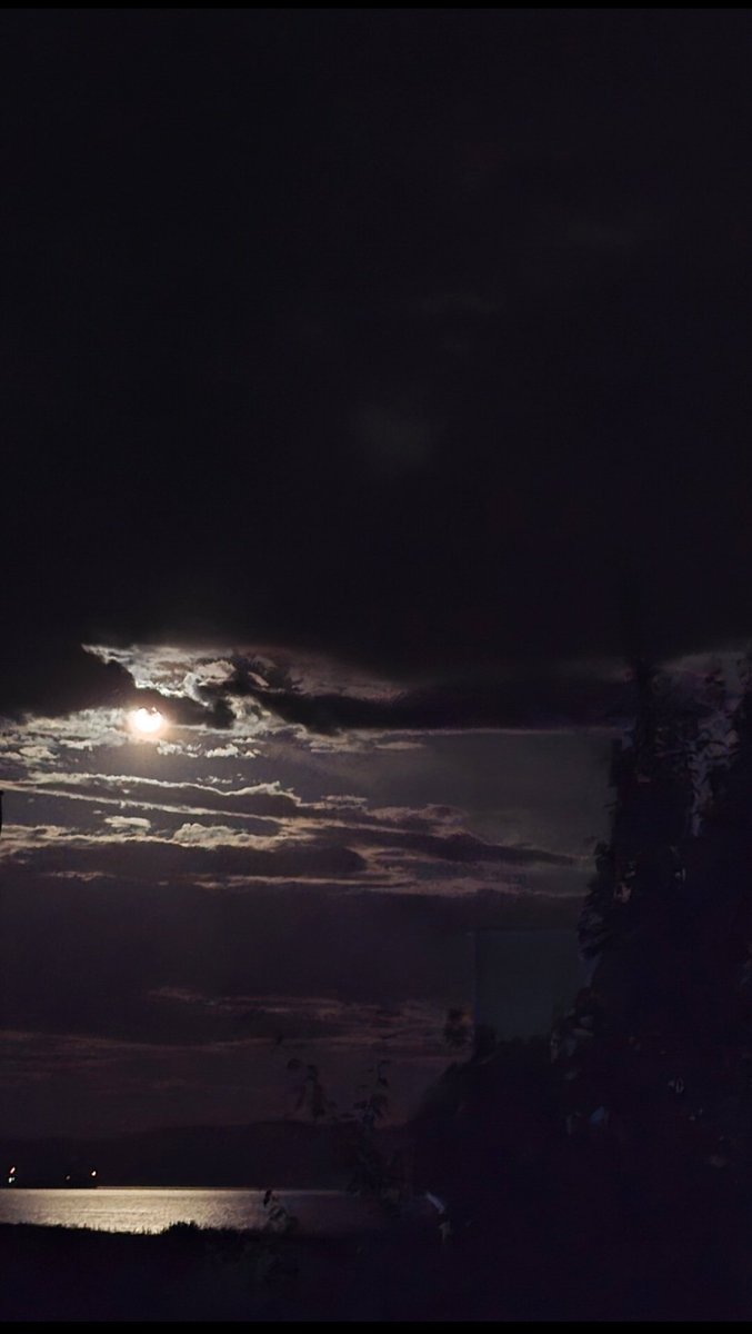 diilaras's tweet photo. Hem "Mavi" hem "Mikro" Aycığımız 🌕 https://t.co/9vtCTros9A