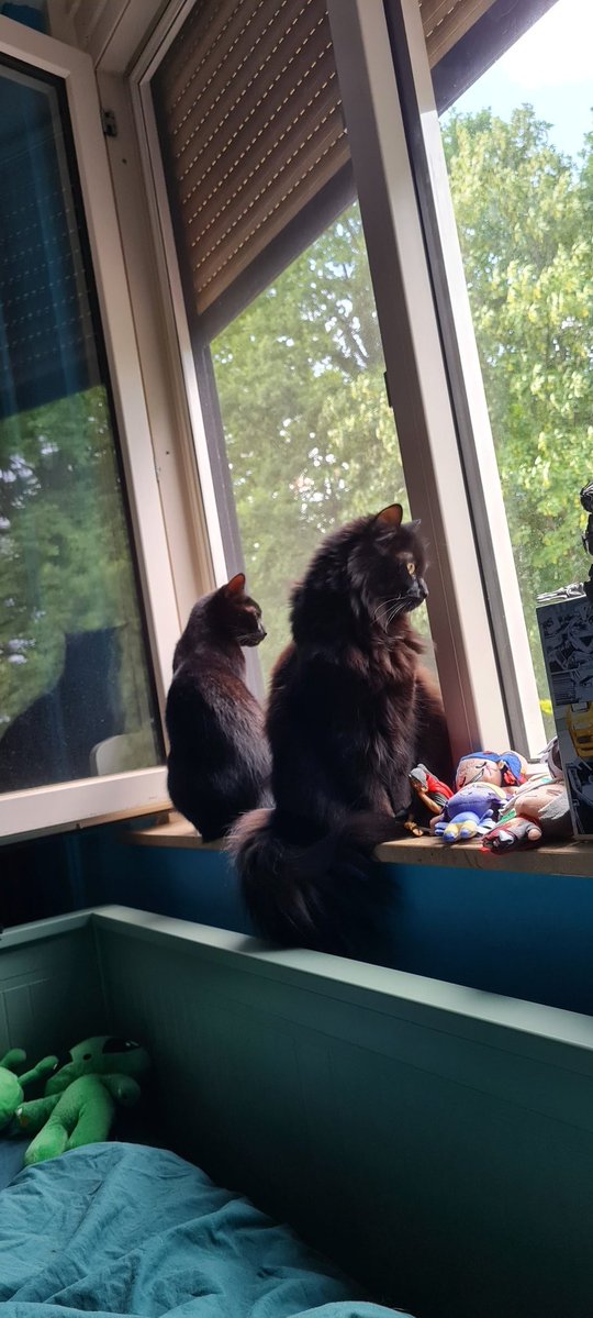 famicomfalcon's tweet photo. 🐈‍⬛x2.png https://t.co/xZdA1dPJFj