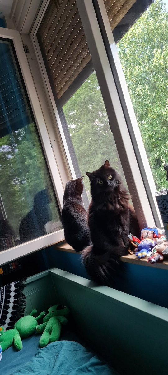 famicomfalcon's tweet photo. 🐈‍⬛x2.png https://t.co/xZdA1dPJFj