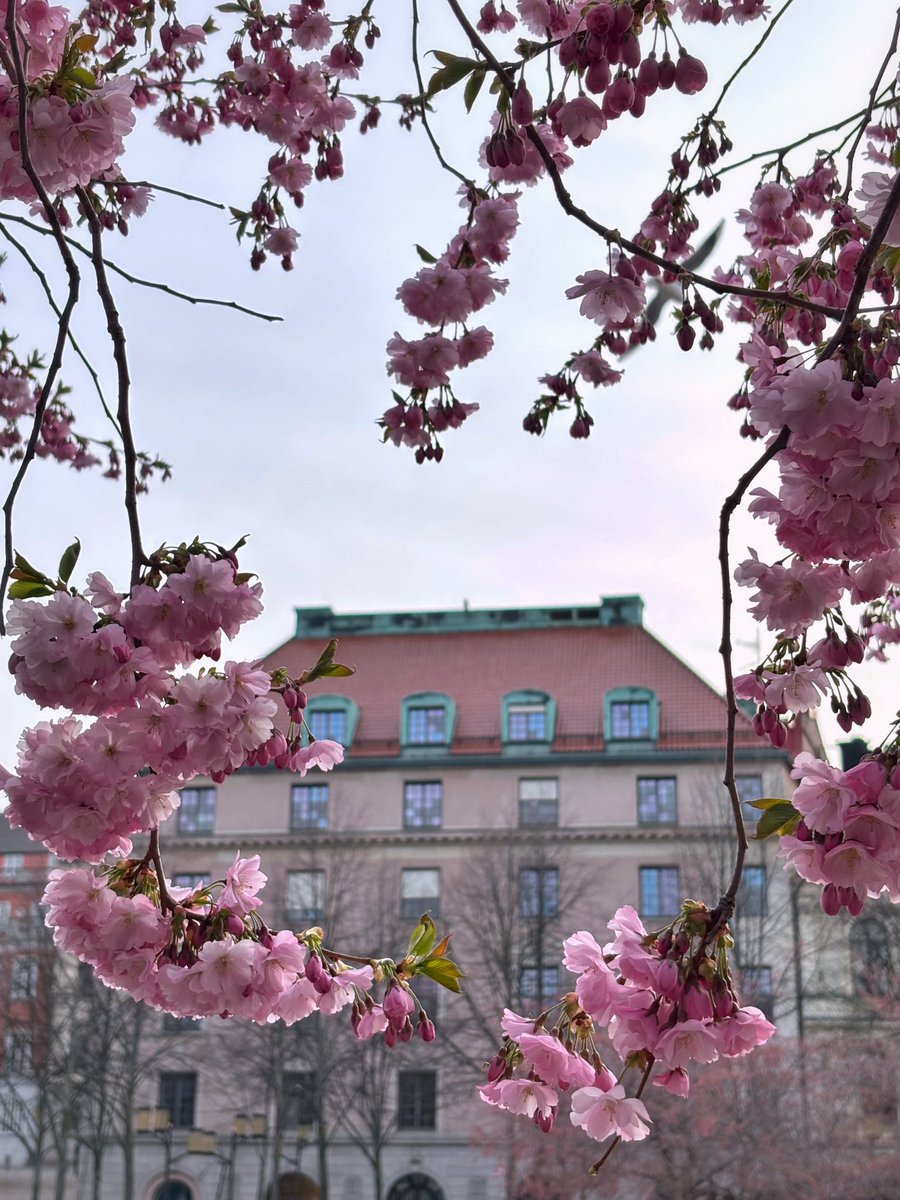 CassandraHemdal's tweet photo. The spirit of springtime 🌸🧁🌼 

#Spring #Highlights #March #April #May https://t.co/HiaMQeanwi