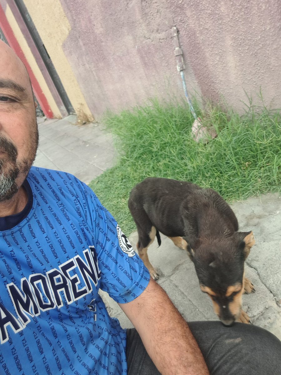Jorge tweet media