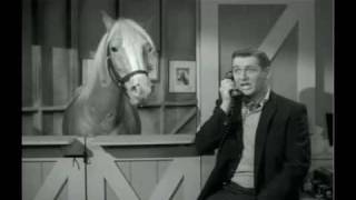brianrknight's tweet photo. @RMLLowe Mr. Ed, the show about the talking horse and his “owner” Wilbur. https://t.co/HJKPgd0cuP