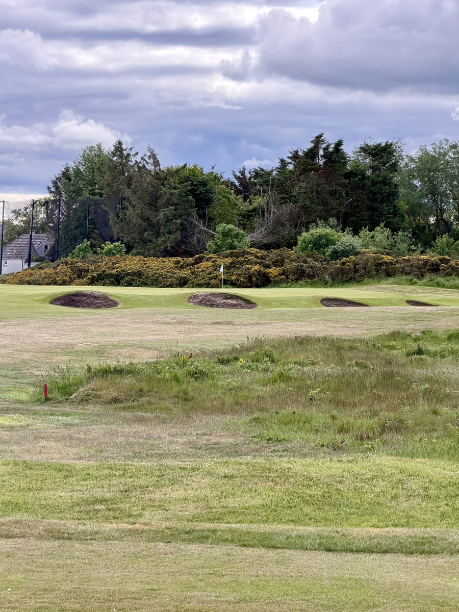 EnglishjJim's tweet photo. Montrose
Angus &amp; Dundee
Scotland 
@Montrosegolflin https://t.co/tsZ4fTNzmJ