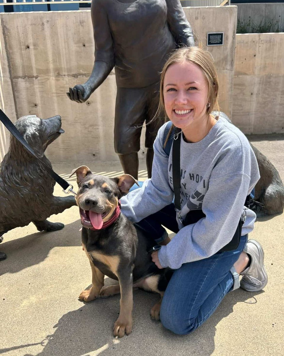 HWAC's tweet photo. #HWACAlumni

A message from Deebo's new family! "Deebo, previously known as Duke, has been the light of our lives! He's the goofiest and sweetest pup around. He's the perfect mix between silly and snuggly, and we've loved every second of having him. He's 2 years old now. 🩵" https://t.co/3TCO4o23xI