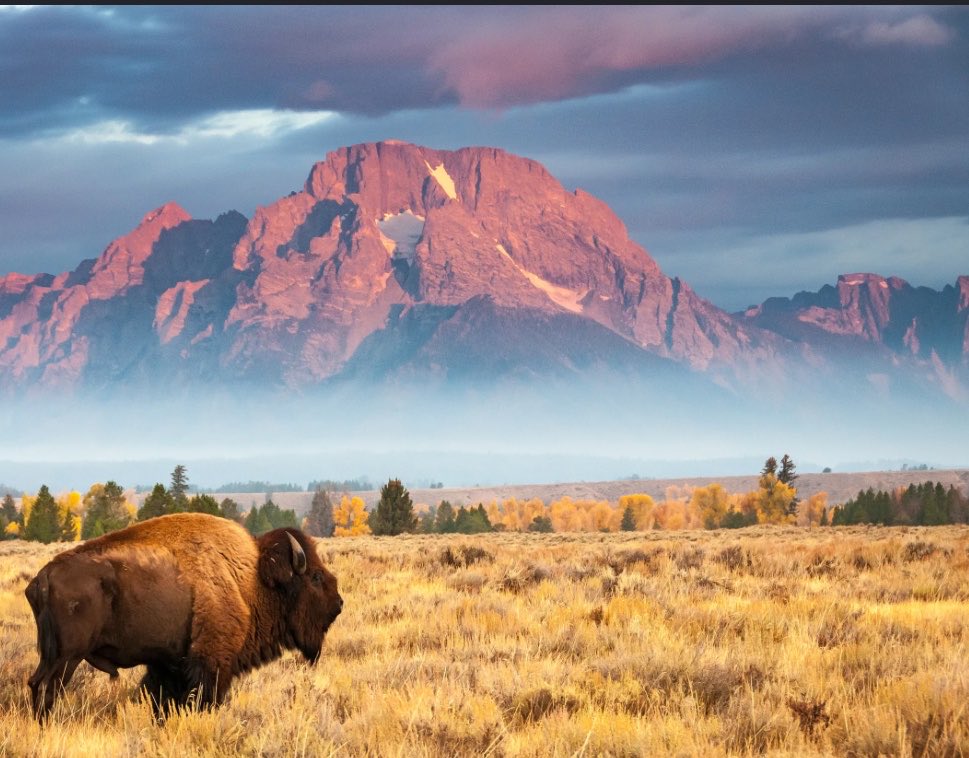 dbess16's tweet photo. @AZBackroad @hoss_actual_ It’s not though, for as someone who has been to countries in 5 out the 7 continents, there might be some places that have nicer views but not as many deferent ones as the US. These photos don’t even include our(deserts, rainforests, beaches) https://t.co/4z9IQ3NCk7