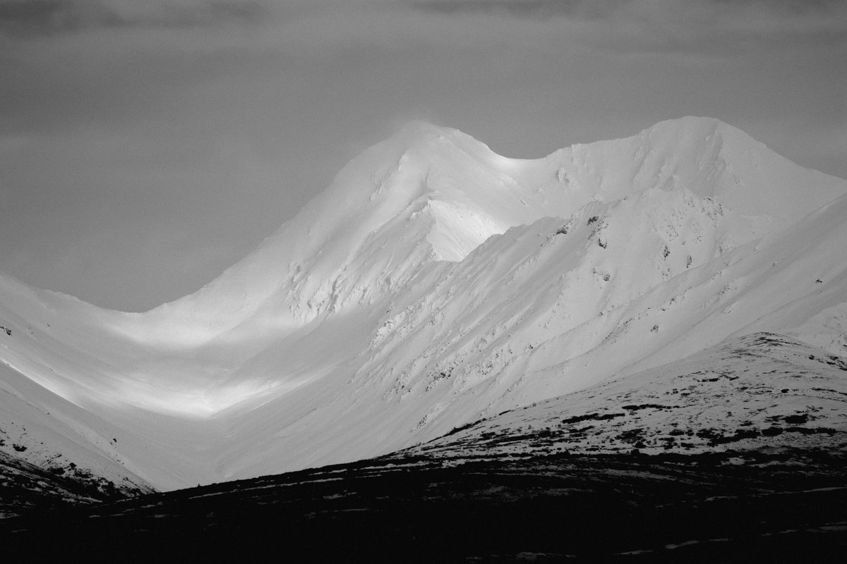 jubbishjay's tweet photo. Light study in Alaska https://t.co/wuqLcn06XK