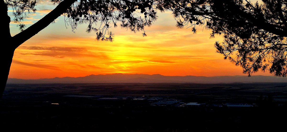 SonsoZatarain's tweet photo. La Tarde de tarde en tarde...
#AtardeceQueNoEsPoco
#Totakeawalk🦯🦯
🚶🏾‍♀️🥾🦯🌄🌳🌾 https://t.co/FvhurYxLa8
