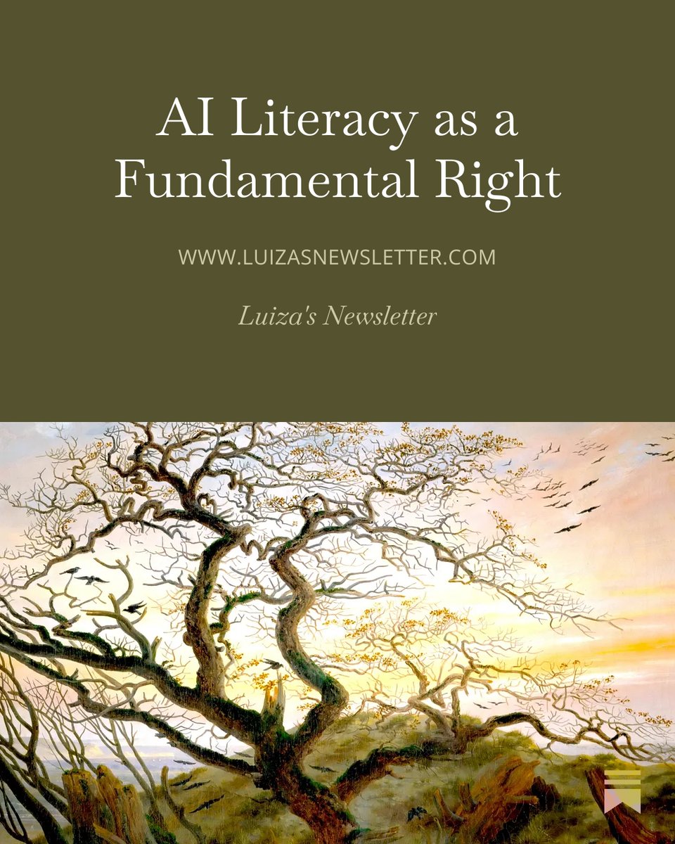 LuizaJarovsky's tweet photo. The fundamental right to AI literacy will provide a baseline for supporting education, equality, democratic participation, and social integration in a period of mass AI automation.

My call to policymakers: https://t.co/RD8Kw7B3AX