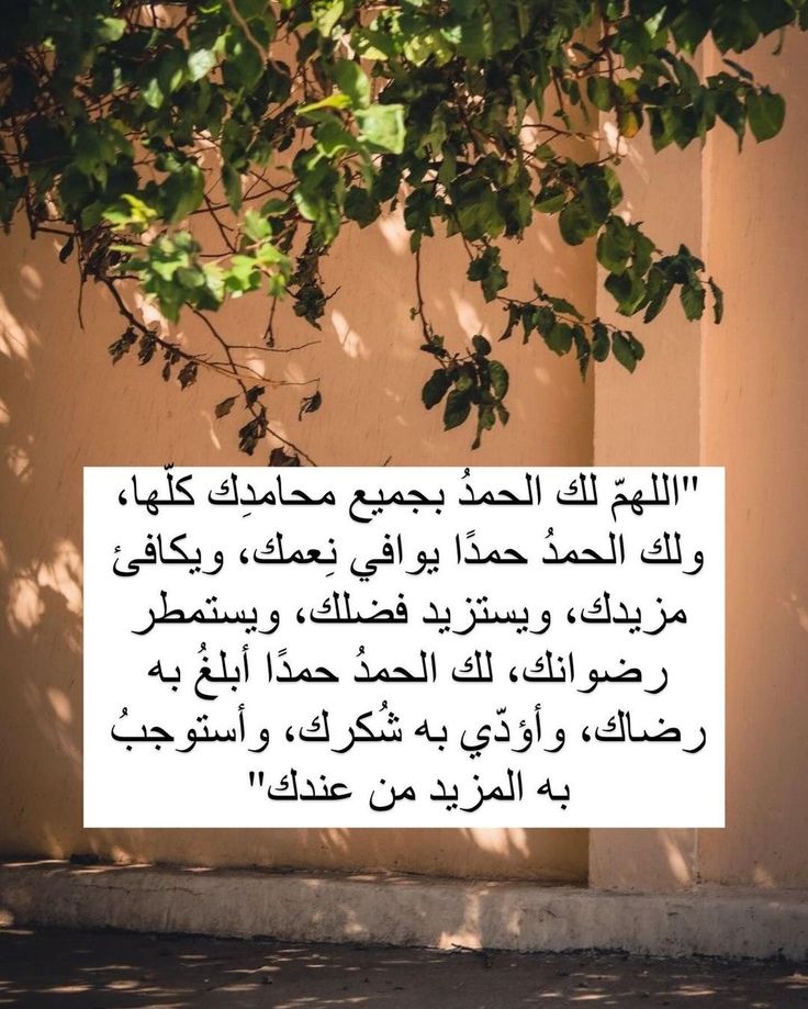 ATJM62's tweet photo. العلاقة مع الله مؤنسة، جابرة، أبدية، مُختلفة، عندما يُحبك الله سينعكس حُبه علىٰ وجهك وأخلاقياتك، سيُسخر لك الأرض ومَن عليها، حتى تكره التعلق بسِواه، حتى تُحب ما يُحب وتبغض ما يبغض،
اللهم قربنا إليكَ بما تُحبه وترضاه https://t.co/EwEGtINInR