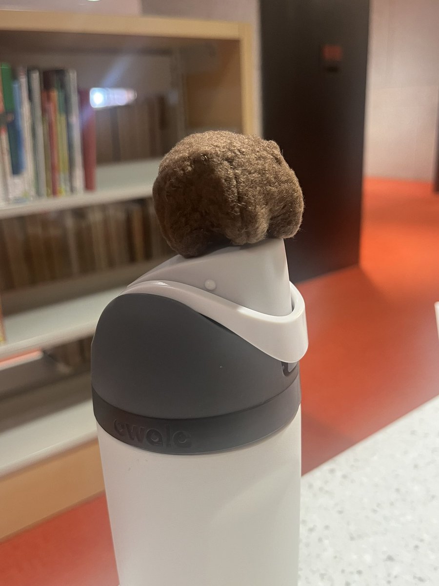 fiarra's tweet photo. Please excuse him, he’s got little legs. 🥲 https://t.co/apjRjIvWOB