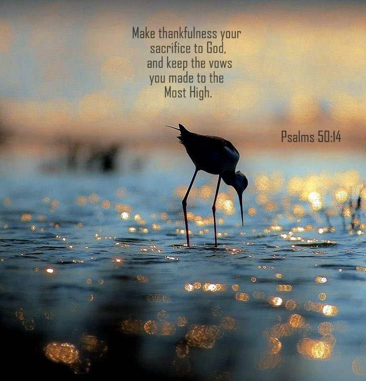 ponygirl345's tweet photo. “Offer to God a sacrifice of thanksgiving, and perform your vows to the Most High, and call upon Me in the day of trouble;
I will deliver you, and you shall glorify Me.”

—Psalm 50:14-15 https://t.co/gKR67RAIbB