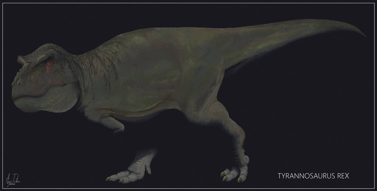 AnyIntern_'s tweet photo. #paleoart Tyrannosaurus Rex
Built for silence.
Made for impact.

I'll post the full sketch/solid color/rendered comparison tomorrow. Until then! https://t.co/a7Auhv0M05