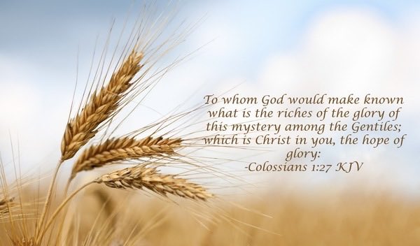 Brooke_StJames's tweet photo. Happy Sunday! https://t.co/X4WcisUd8c
