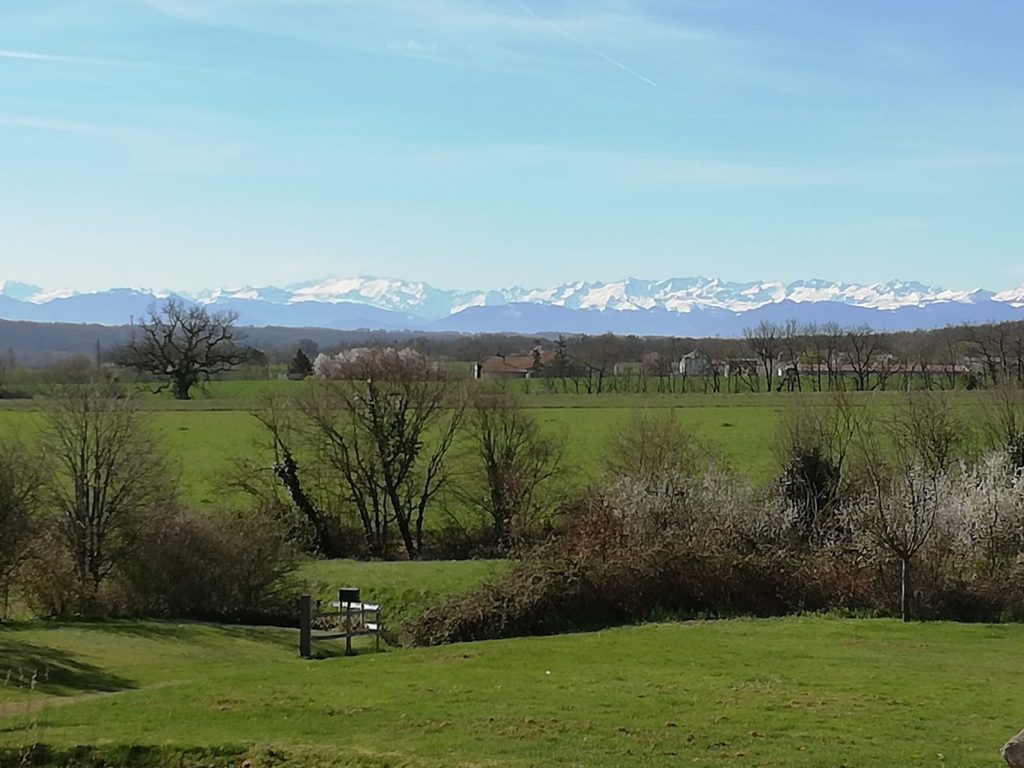 HealeyFox's tweet photo. Charming French Country Home with Pyrenees Views, Pool &amp; Barn

Occitanie, Gers, Seissan
€385,000
More Details:
https://t.co/2WA0VdfchK https://t.co/aTwVDU1i3d