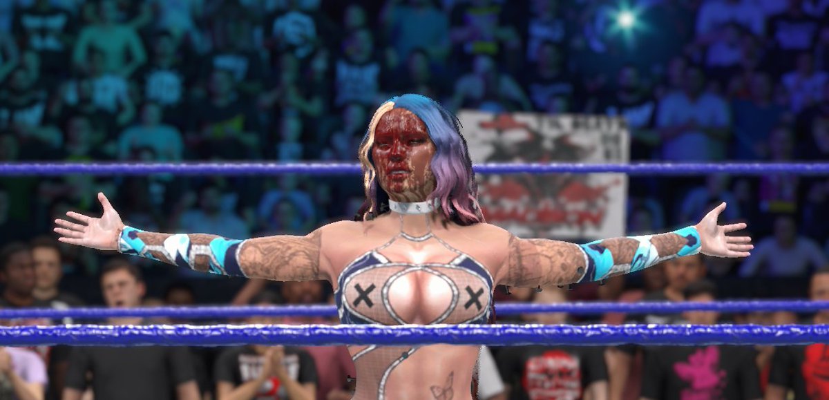 Super Smash Bros Wrestling tweet media