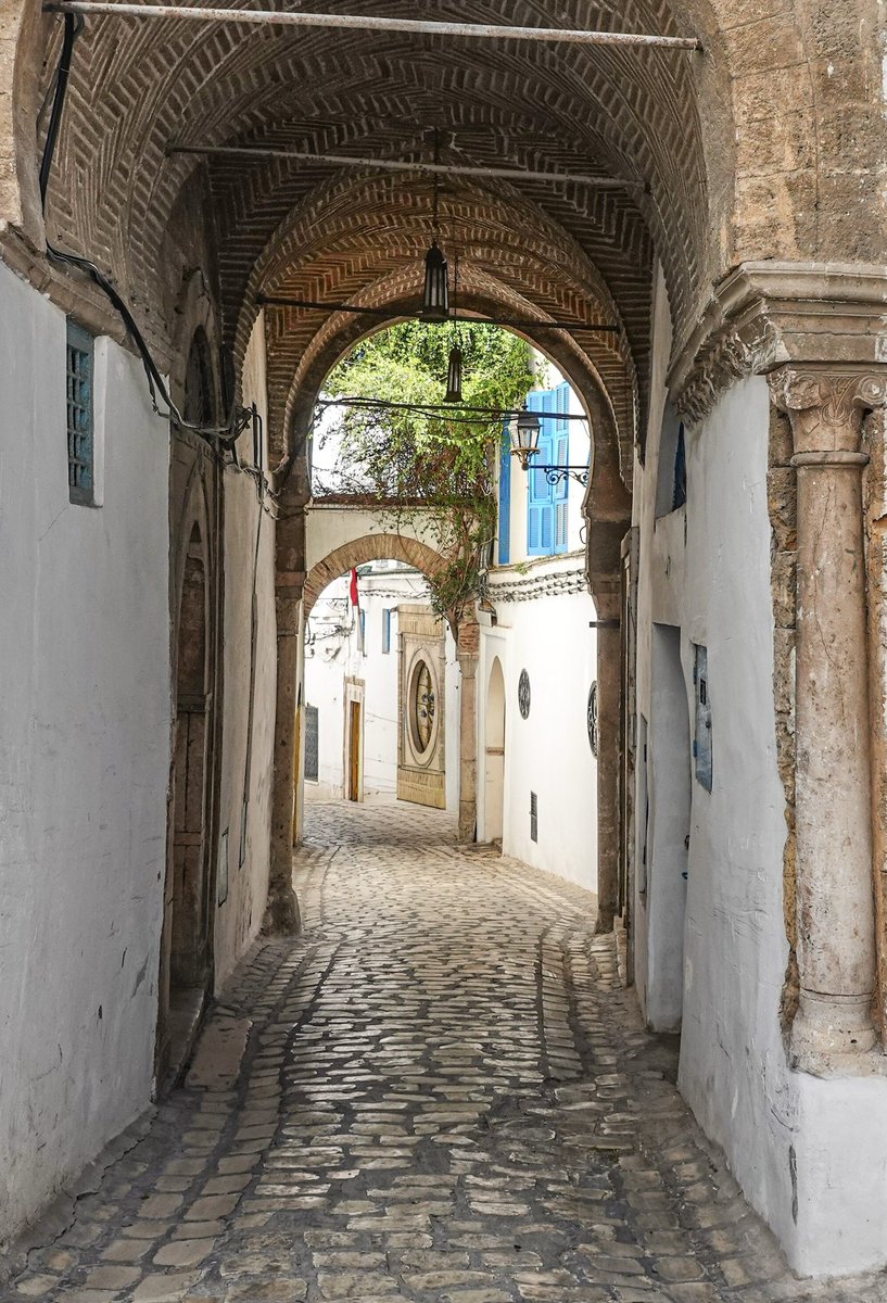 Ian_Barnes's tweet photo. An amazing Tunis Alley in the Medina area 🌟📸 #FSPrintMonday https://t.co/DiMpzj2dJo