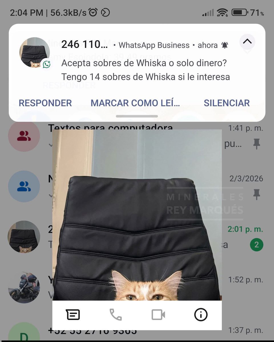 Alejo tweet media