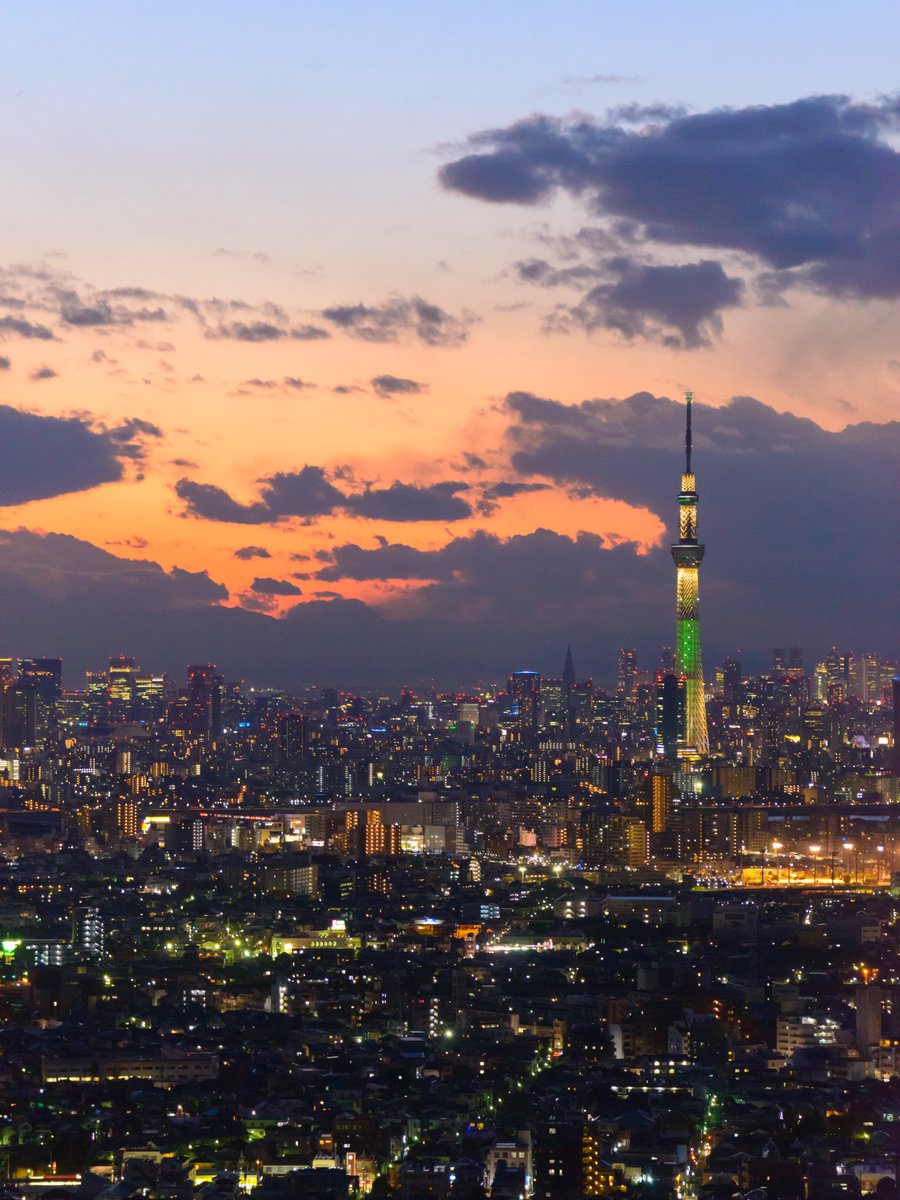 japanvistamedia tweet picture
