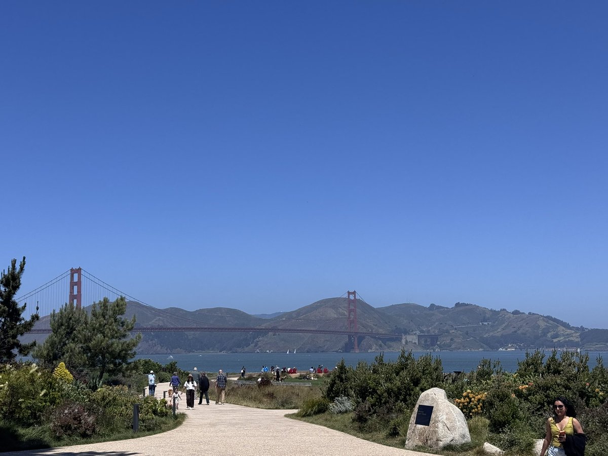 rish_gpt's tweet photo. @garrytan @JTLonsdale How do you even live in sf without this https://t.co/gzEW48PZ0S