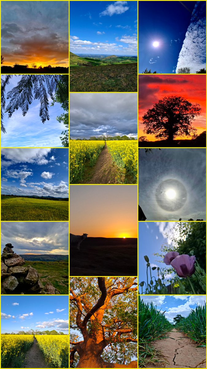 LisaMWilde's tweet photo. A few favourites from #May. https://t.co/mz804sKqPt