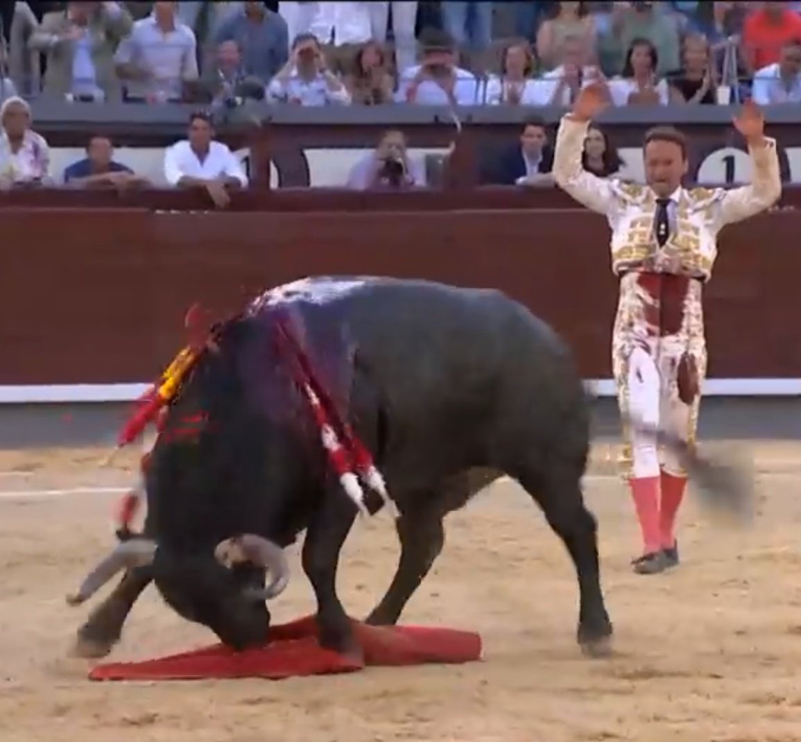 Seisyelsobrero's tweet photo. Algunos se han apresurado a calificar de circo,la gran tarde de Ferrera en Madrid.Para mí,el circo es lo que montan cada tarde las figuritas pegapasistas con sus toros inválidos, afeitados y moribundos.
Prefiero el circo auténtico de Ferrera al circo fraudulento de los de siempre https://t.co/C5z8Rf1Wcu