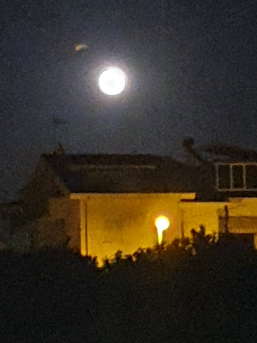 MariellaMio's tweet photo. @elonmusk a volte sembra impossibile che sia così lontana ma così meravigliosa #bluemoon #moon #luna #31maggio2026 #FullMoonMagic #italy 🌕🇮🇹 https://t.co/z6VbFmNjtk