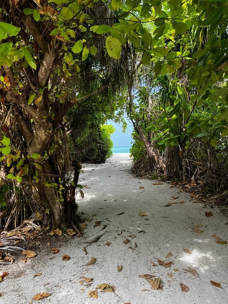 huariqueje's tweet photo. Maldives https://t.co/K14vGq4Z1X