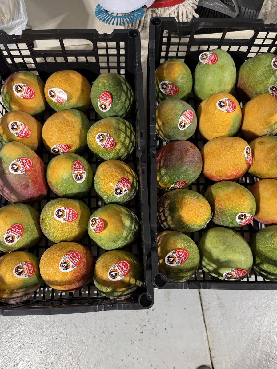 devaangparikh's tweet photo. Koi e mokli nai etle 80 $ ni mexico thi mangavi 😜😜 https://t.co/xrOJLo3xJu