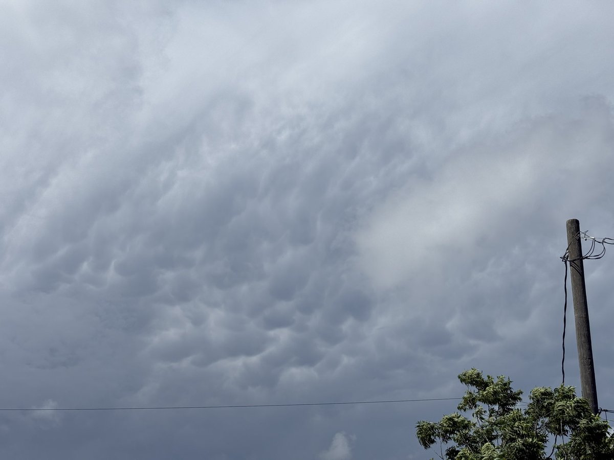 FloridaPA27's tweet photo. Florida Mammatus! https://t.co/iaYDKiwE5u