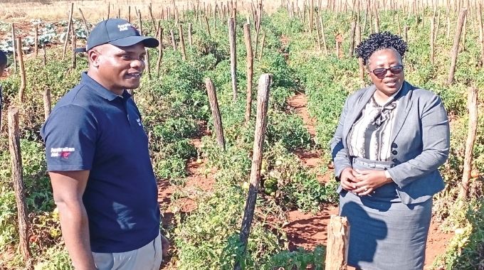 ChronicleZim's tweet photo. KHAYELIHLE Children’s Village on the outskirts of Bulawayo has embraced an integrated farming model to help feed vulnerable children and sustain operations.
https://t.co/8pKIItv8B9 https://t.co/Pbw3B8CH7q