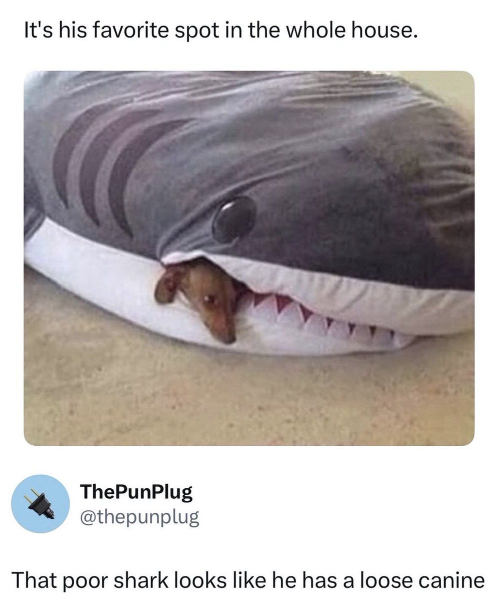 Respectful Memes tweet media