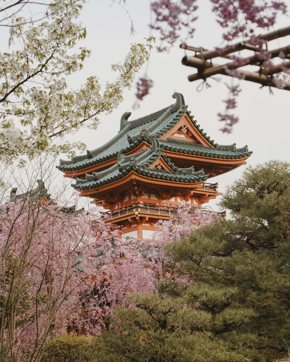 lvisss's tweet photo. Book now with Explora Journeys and enjoy our Winter 2027 Journeys in Asia. Discover travel reimagined at sea.

Contact me to learn more.
#ExploraJourneys #OceanStateOfMind #SailUnique https://t.co/sTGc7qa9v7