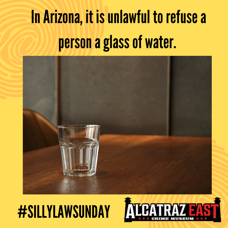 AlcatrazEast's tweet photo. We'd HOPE it's illegal to refuse someone a glass of water in the Arizona heat! ☀️💦

#sillylawsunday https://t.co/f3vRGzAzsH