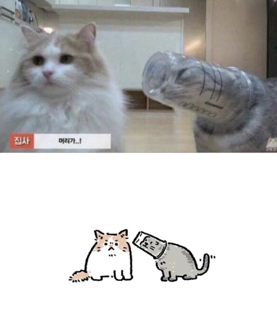 Respectful Memes tweet media