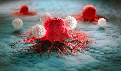 latestincosmos's tweet photo. 🚨: Scientists engineer "Tumor-eating" bacteria that devours cancer from within. https://t.co/rcqIGbldbM