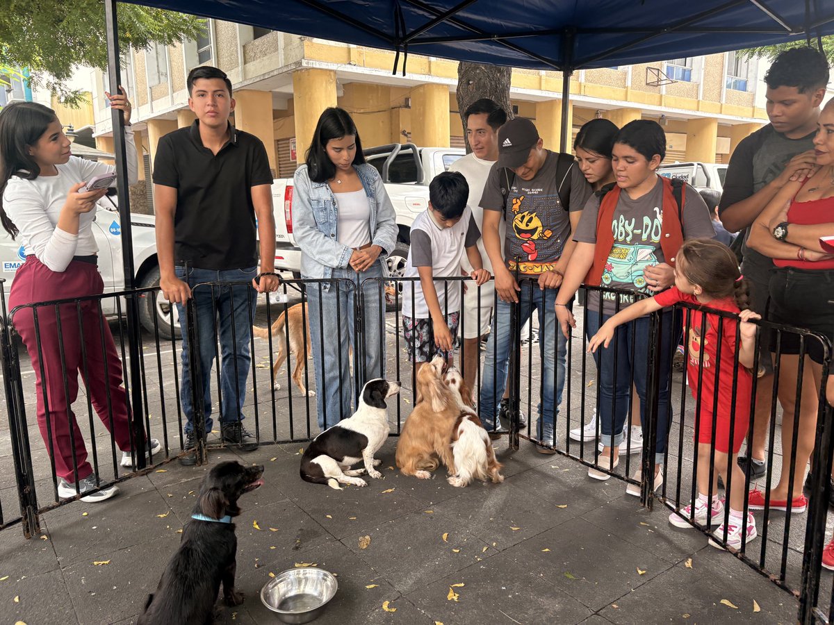 ABZEVALLOS's tweet photo. Feliz Día del Niño en la Ruta Centro https://t.co/ndG7iadB6L