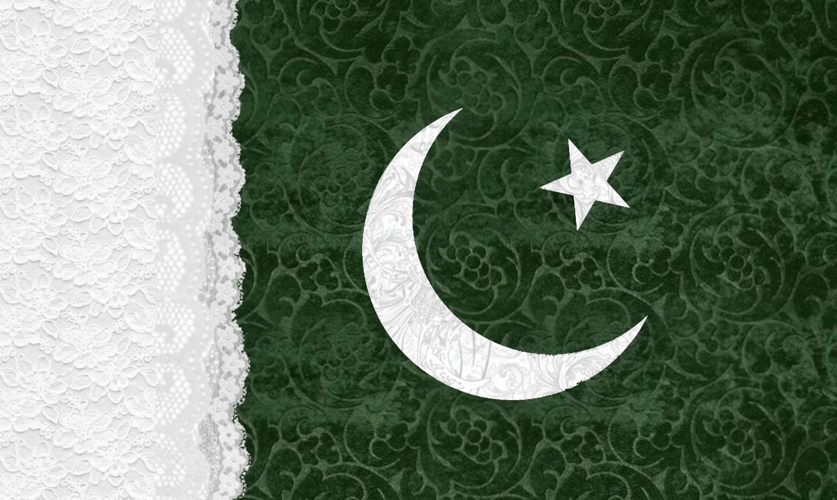 visionlessdoll's tweet photo. i was bored so i made a cute pakistan flag https://t.co/WUHslDNLFG