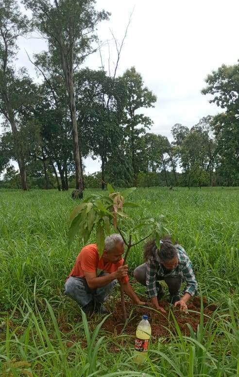 ecoportuguesa's tweet photo. Jornada de siembra en el Mitar Celebrando el dia Nacional del Arbol... https://t.co/JE6KwJaeot